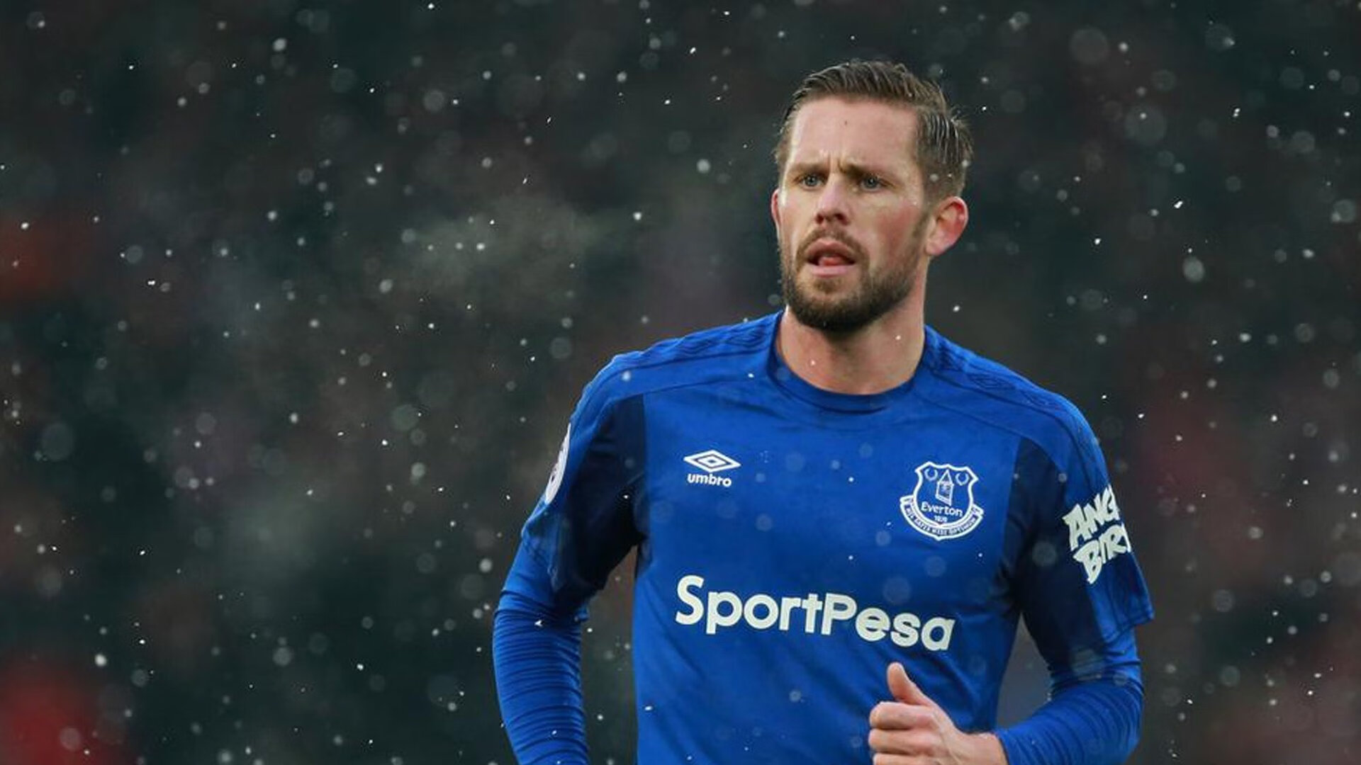 拜仁慕尼黑队徽